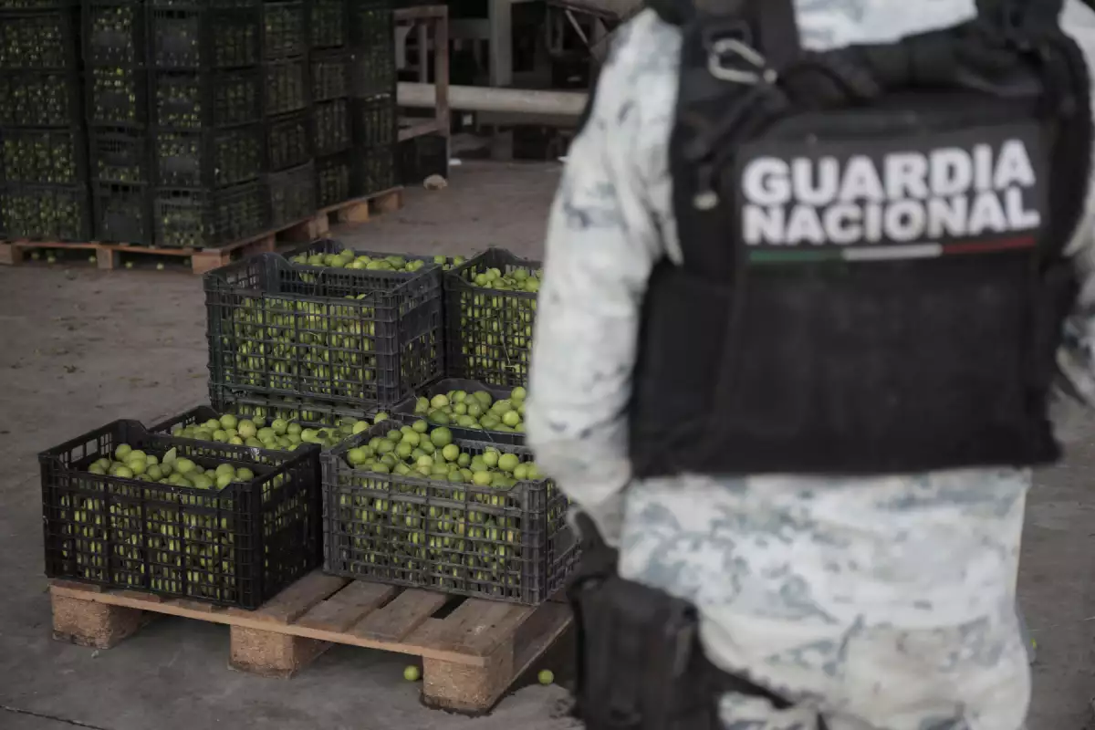 Police operation to curb extortion from criminal groups of lemon producers, in Apatzingan