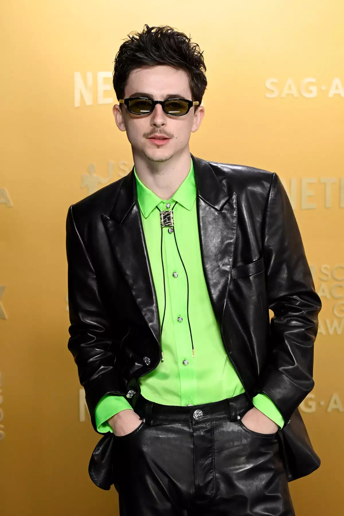 timothee chalamet bob dylan sag
