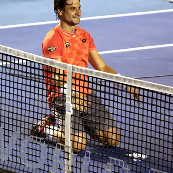David Ferrer