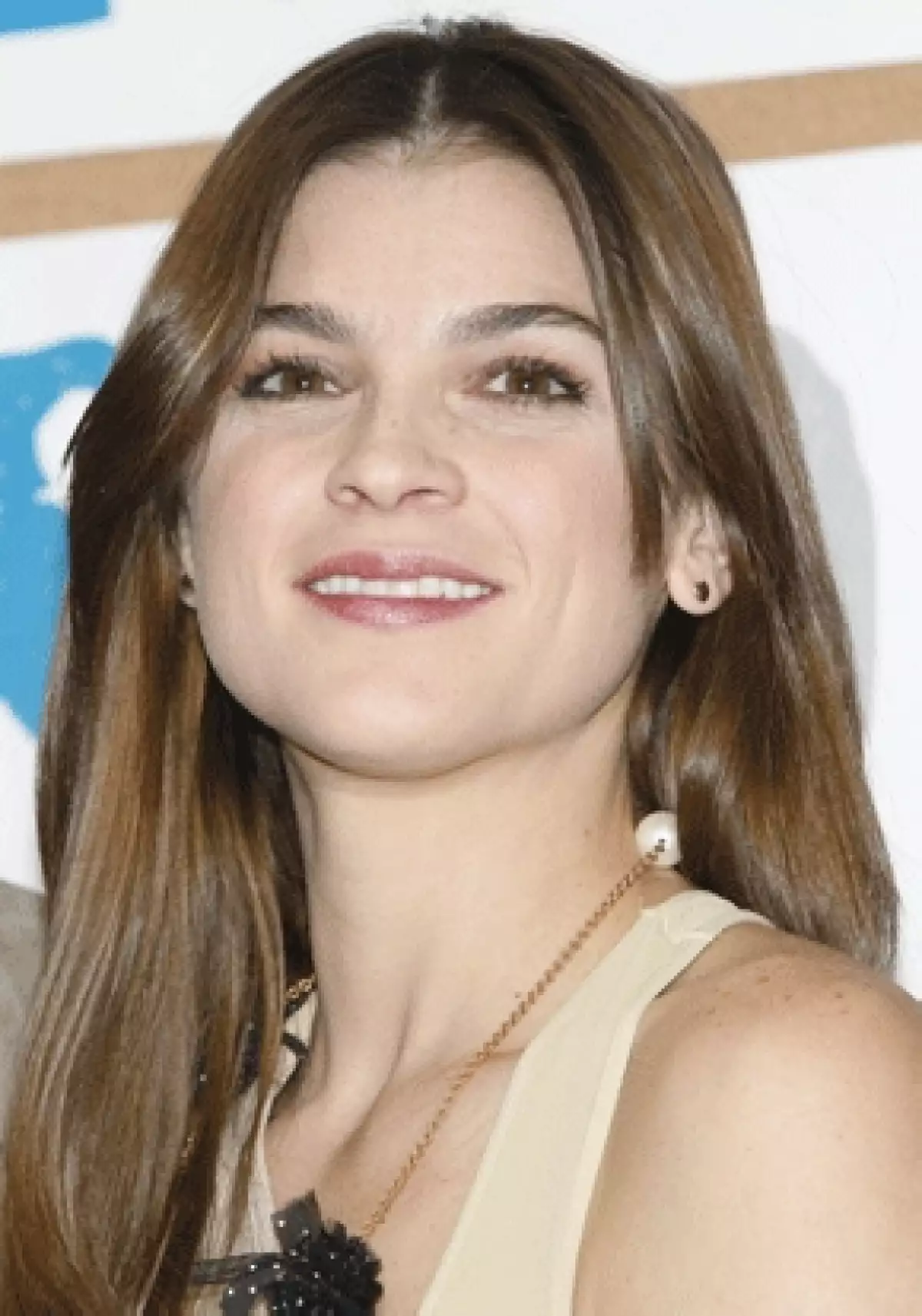 La actriz ha ganado dos Premios Ariel en la categoría de mejor actriz por las cintas "Quemar las nabes" (2008) y "Bajo la sal (2009).