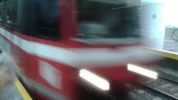 tren ligero