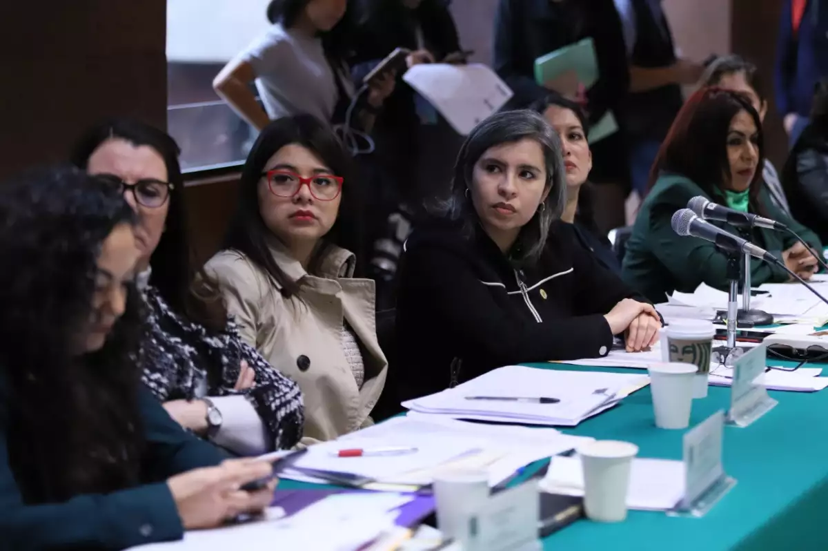 comisión de igualdad aborto diputados