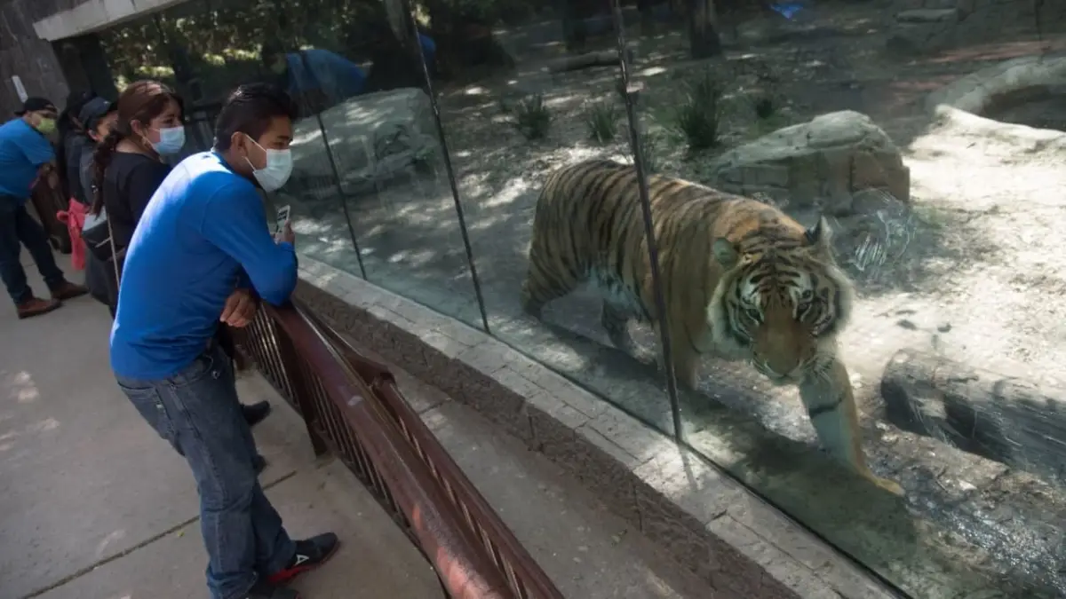 Zoológico de Chapultepec