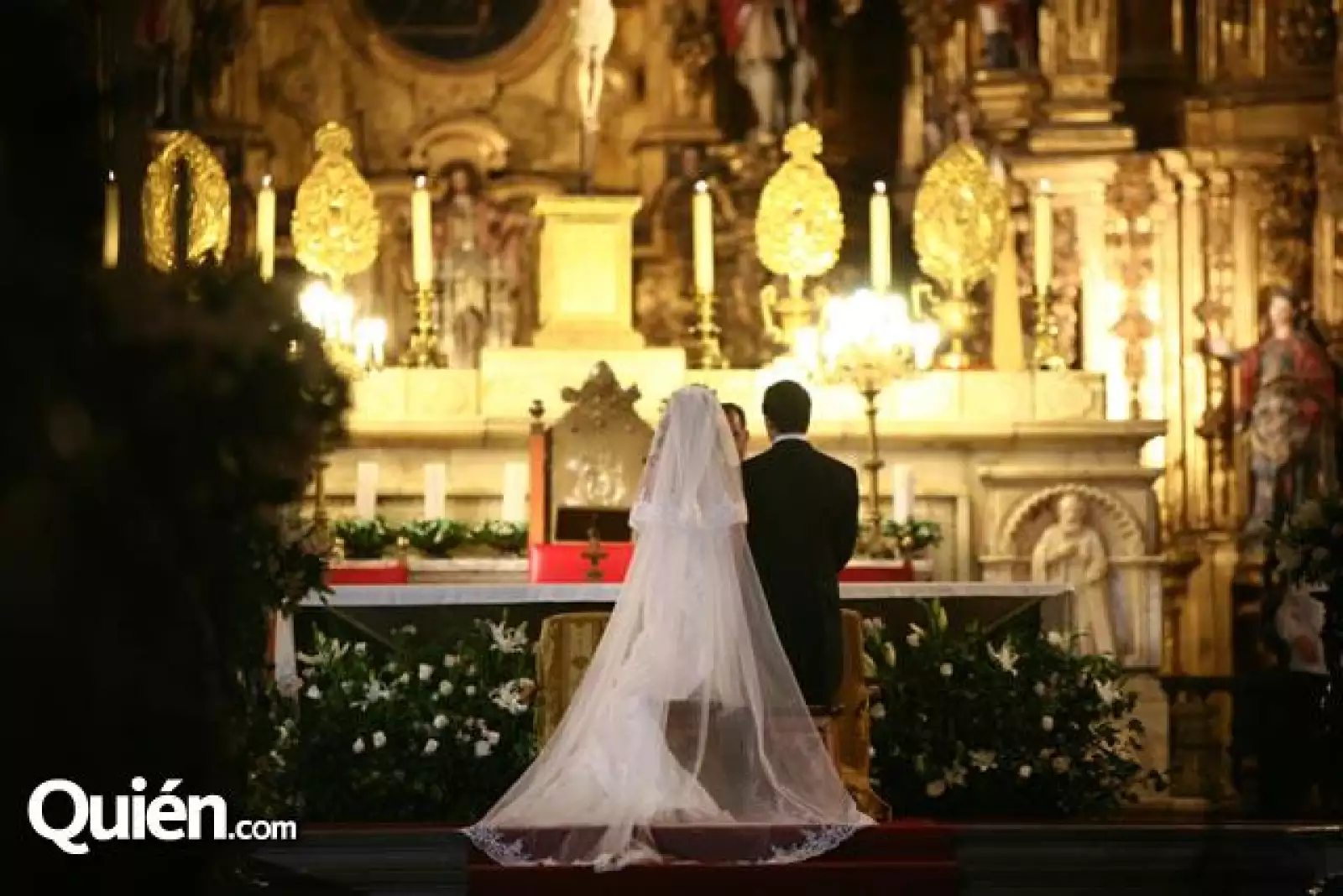 Ana Cristina Butrón Robles Gil,Carlos Humberto Toledo