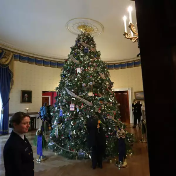 El árbol de Navidad adorna el Blue Room.