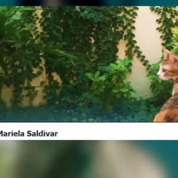 biografia-fb4