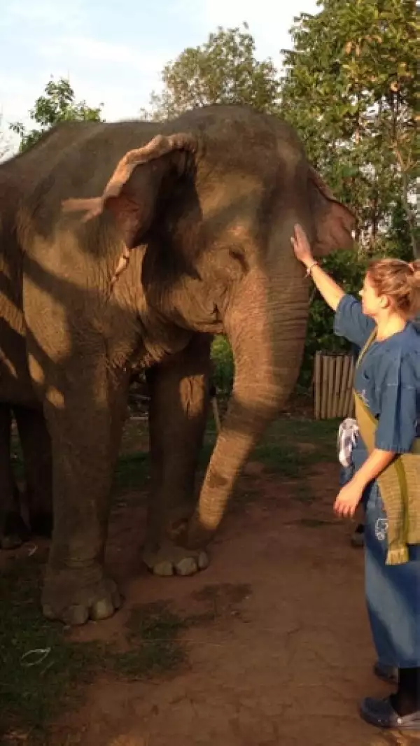 La actriz se mostró como toda una `Mahout´, persona que maneja y conoce un elefante.