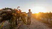 jose-duramd.jpg