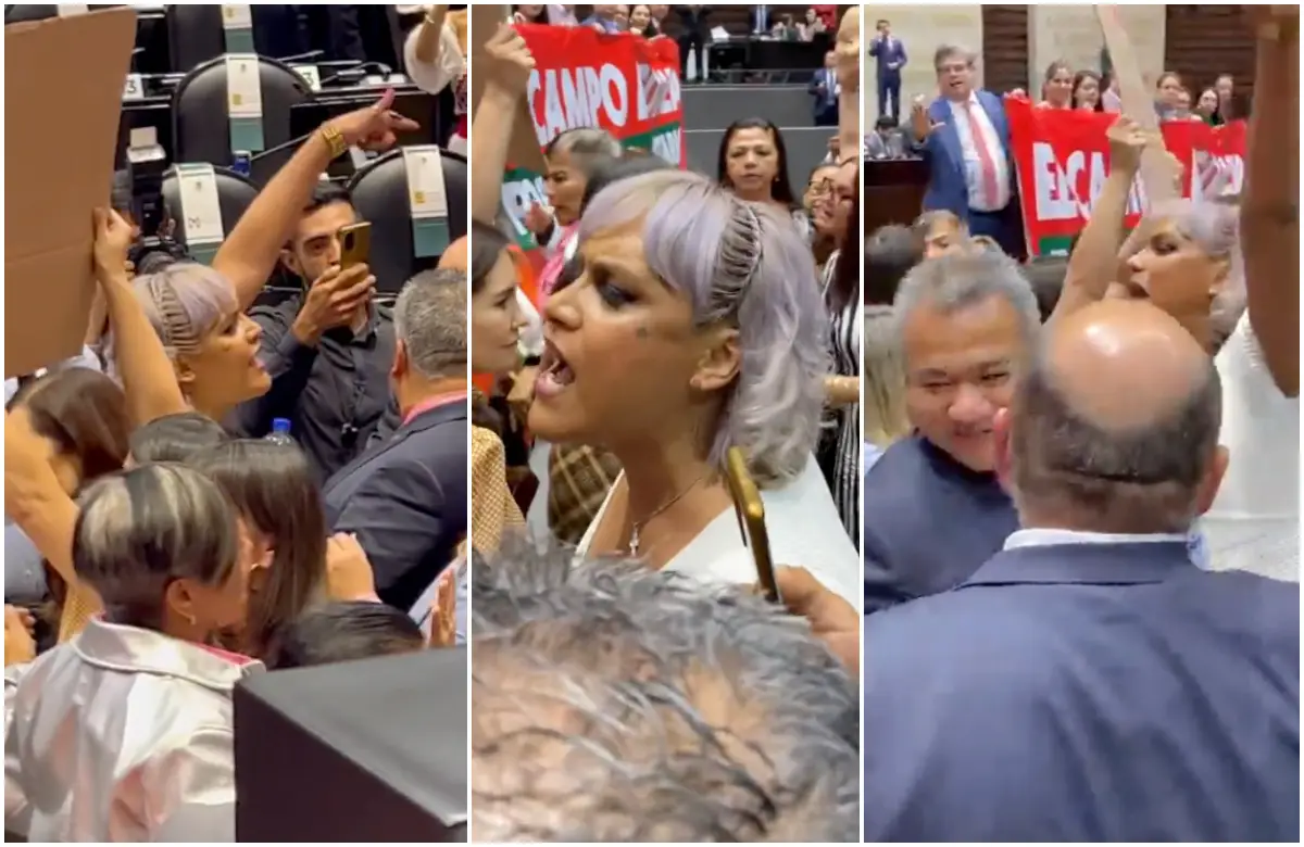 (Obligatorio)