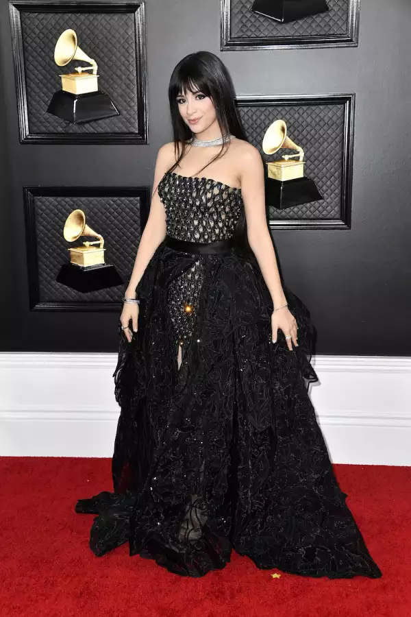 62nd Annual GRAMMY Awards ‚Äì Arrivals