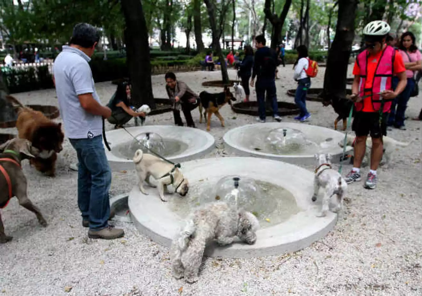 �rea canina Parque M�xico 1