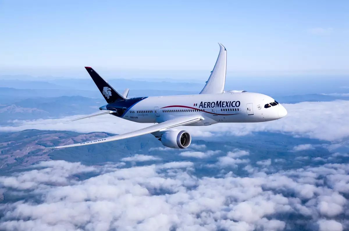 Las condiciones que impuso la Cofece a Aeroméxico y Delta impactarán su mercado transfronterizo.