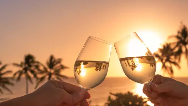 cheers-with-wine-glasses 