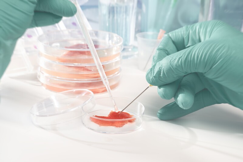 Meat Lab
