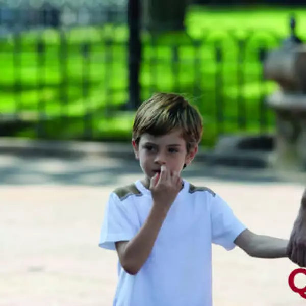 Plutarco Haza, Nicolas Haza