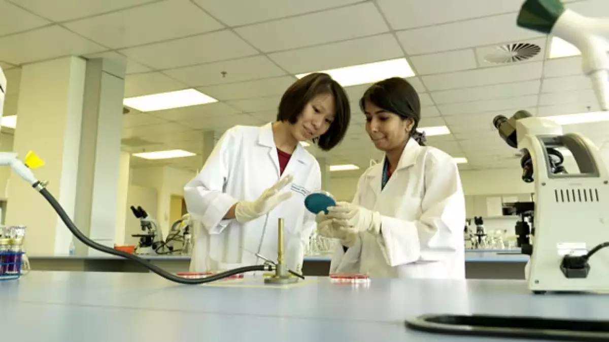 malasia medicina