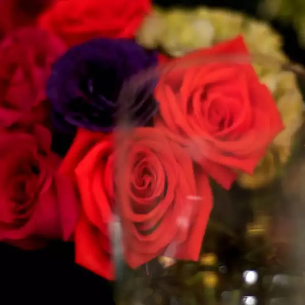 Alejandra Coppel presenta La Vie en Rose en la Boutique Cafe Maison des Fleurs