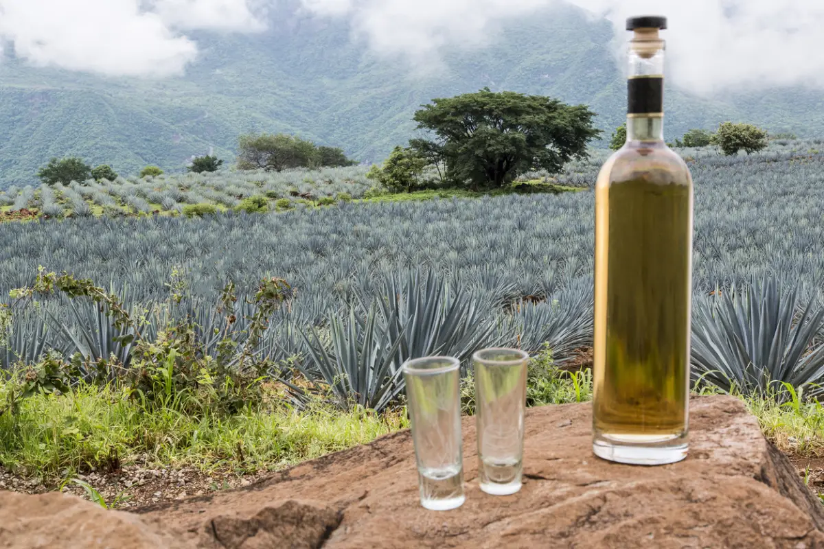 tequila