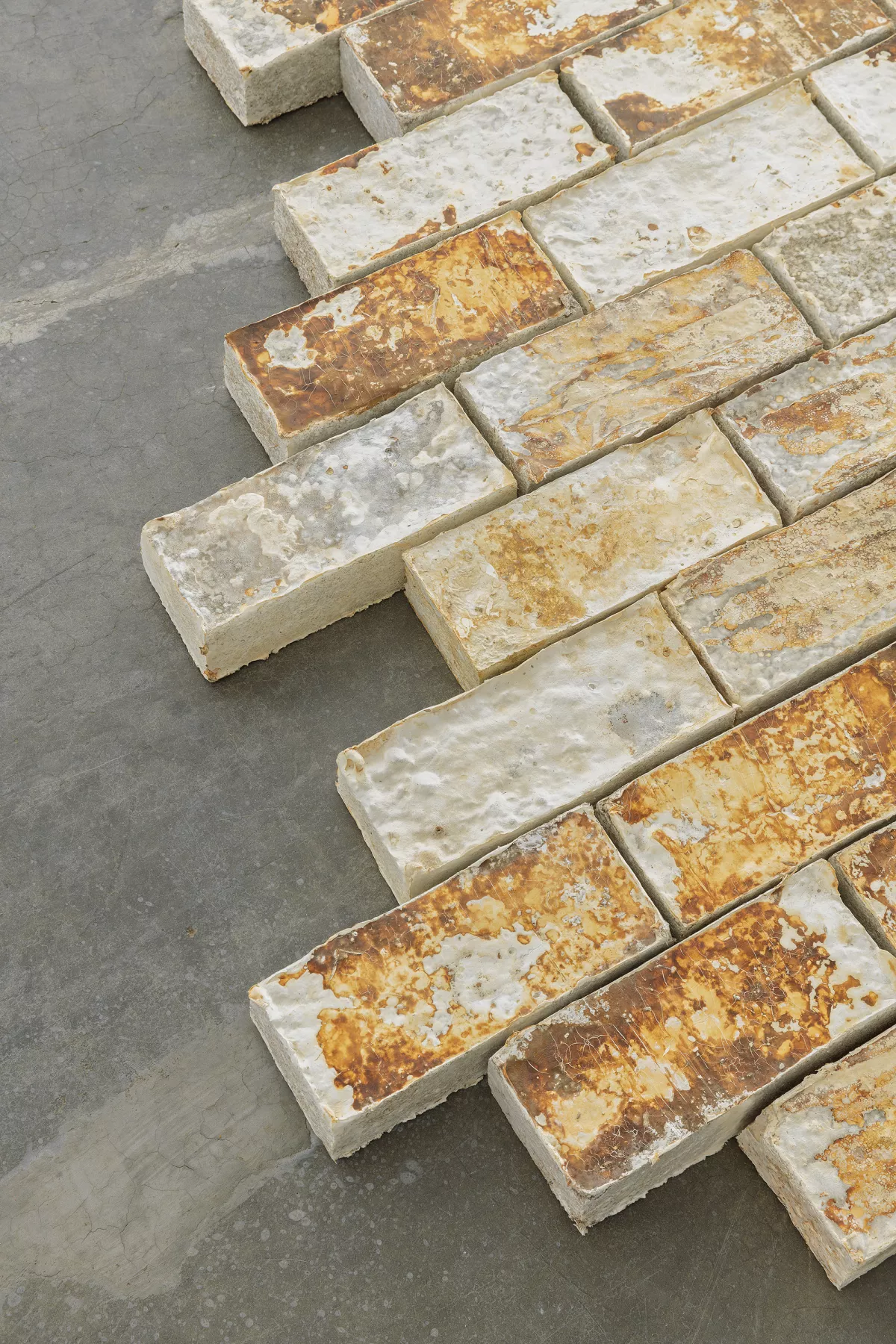 monterr-diseño-muebles-hongos