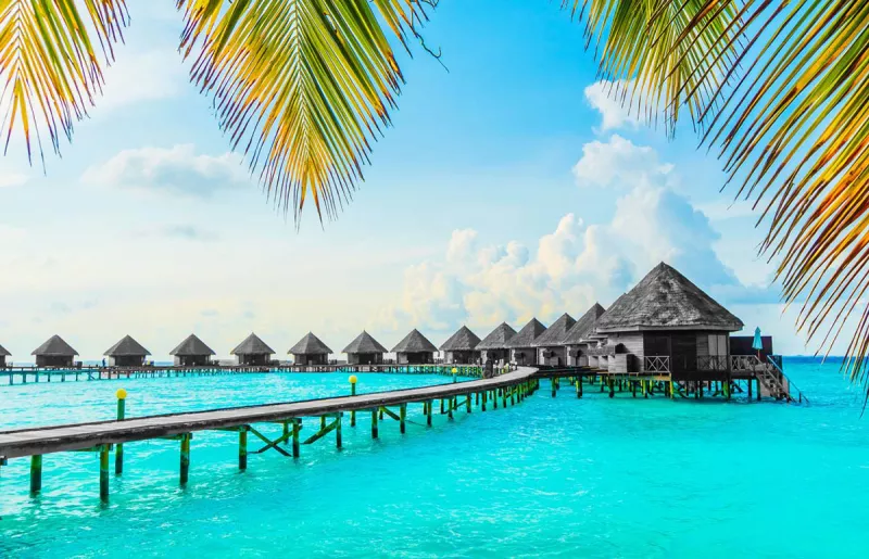 honeymoon-elle-destacada