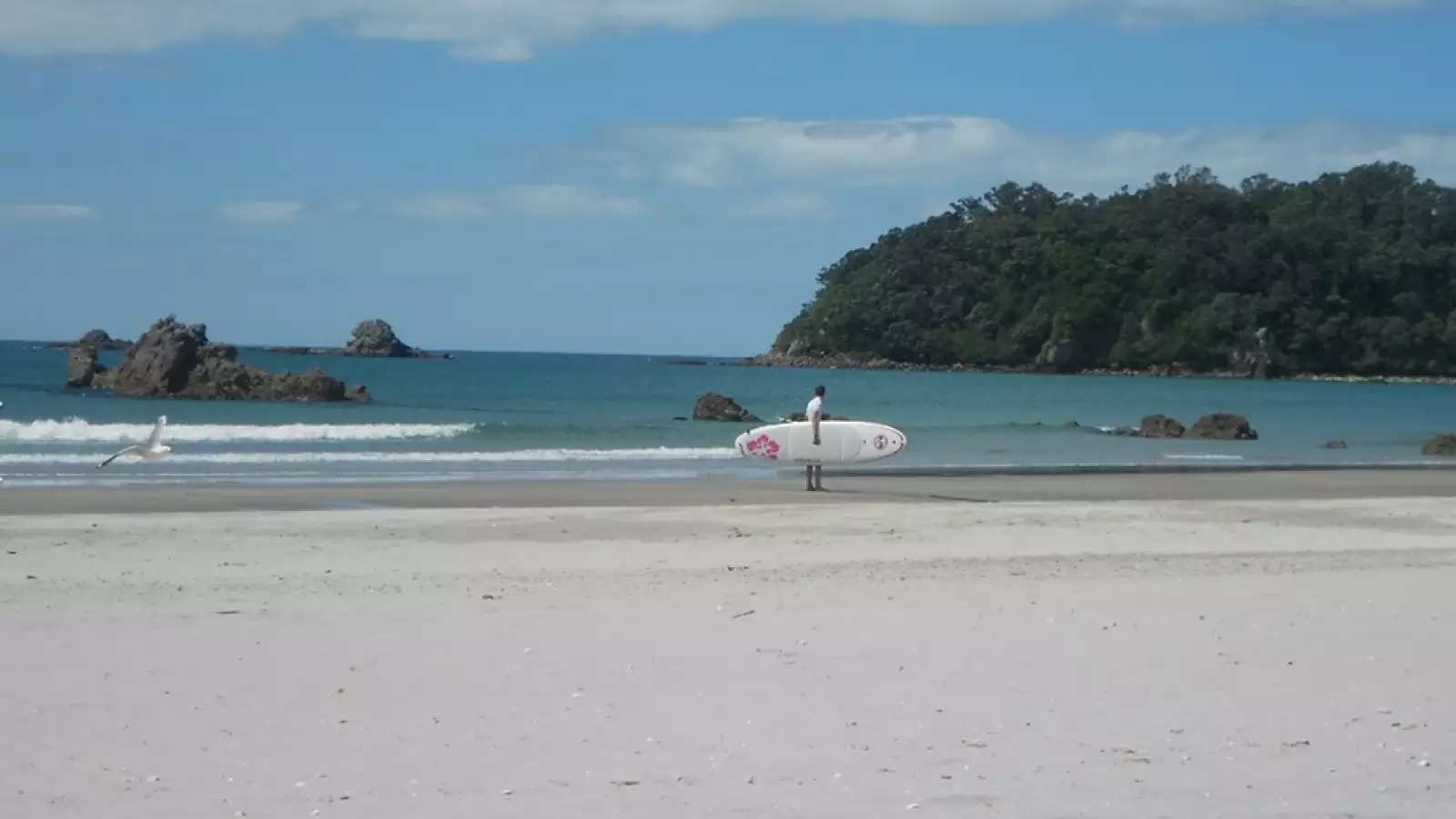 nueva zelandia playa