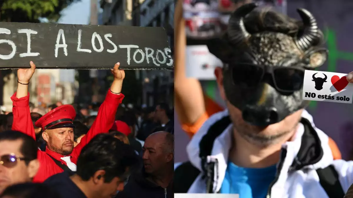 toros replica estados.jpg