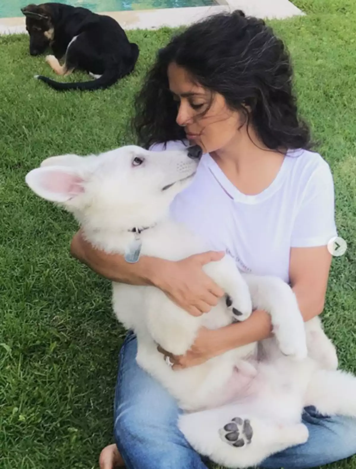 Salma Hayek celebra el Día del Perro