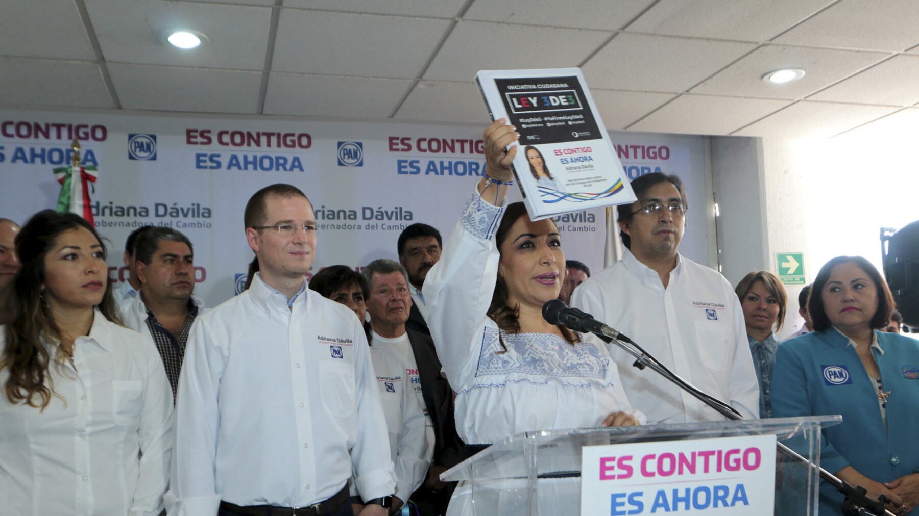 Partido Acción Nacional
