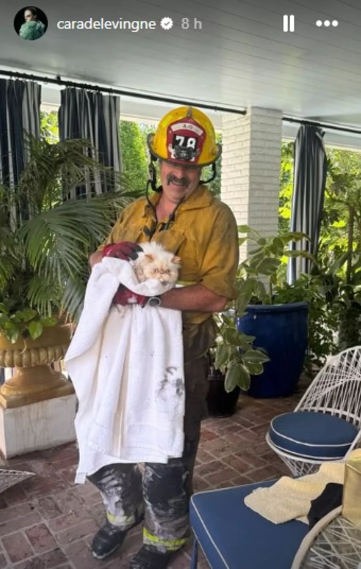 GATO1.jpg