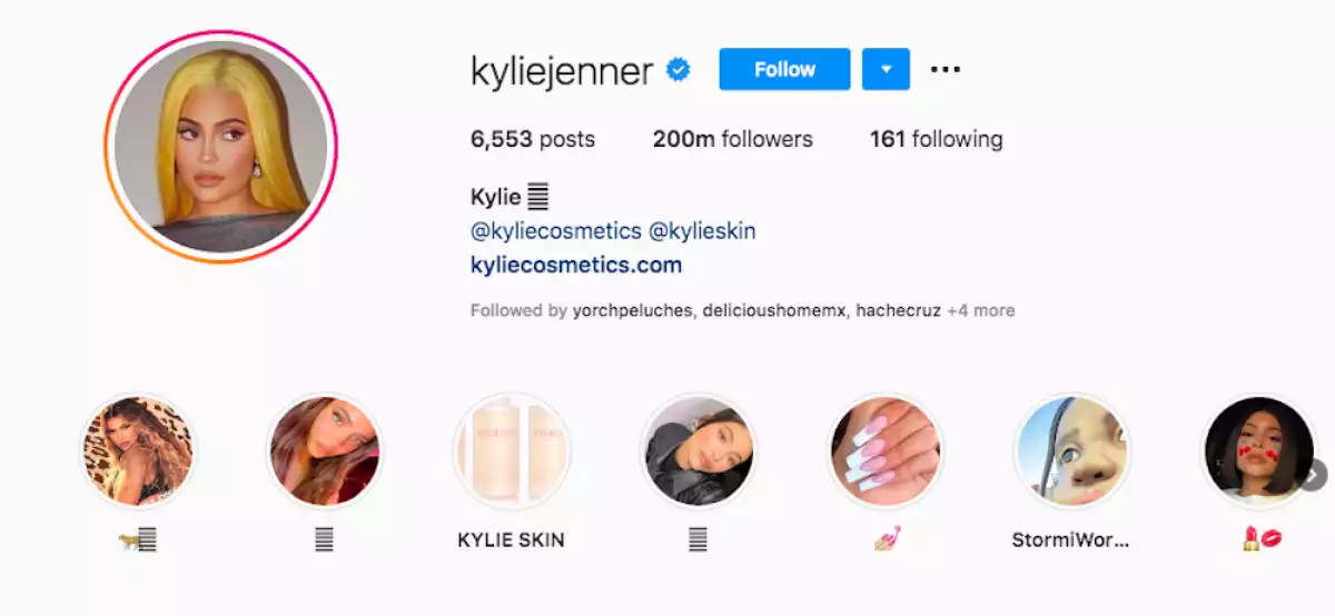 kylie-jenner-followers.jpg