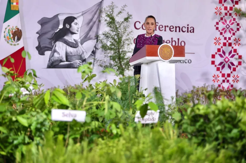 jornada-nacional-reforestacion