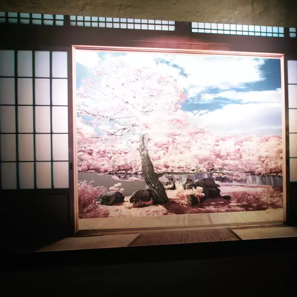 Muestra fotográfica de Pepe Soho