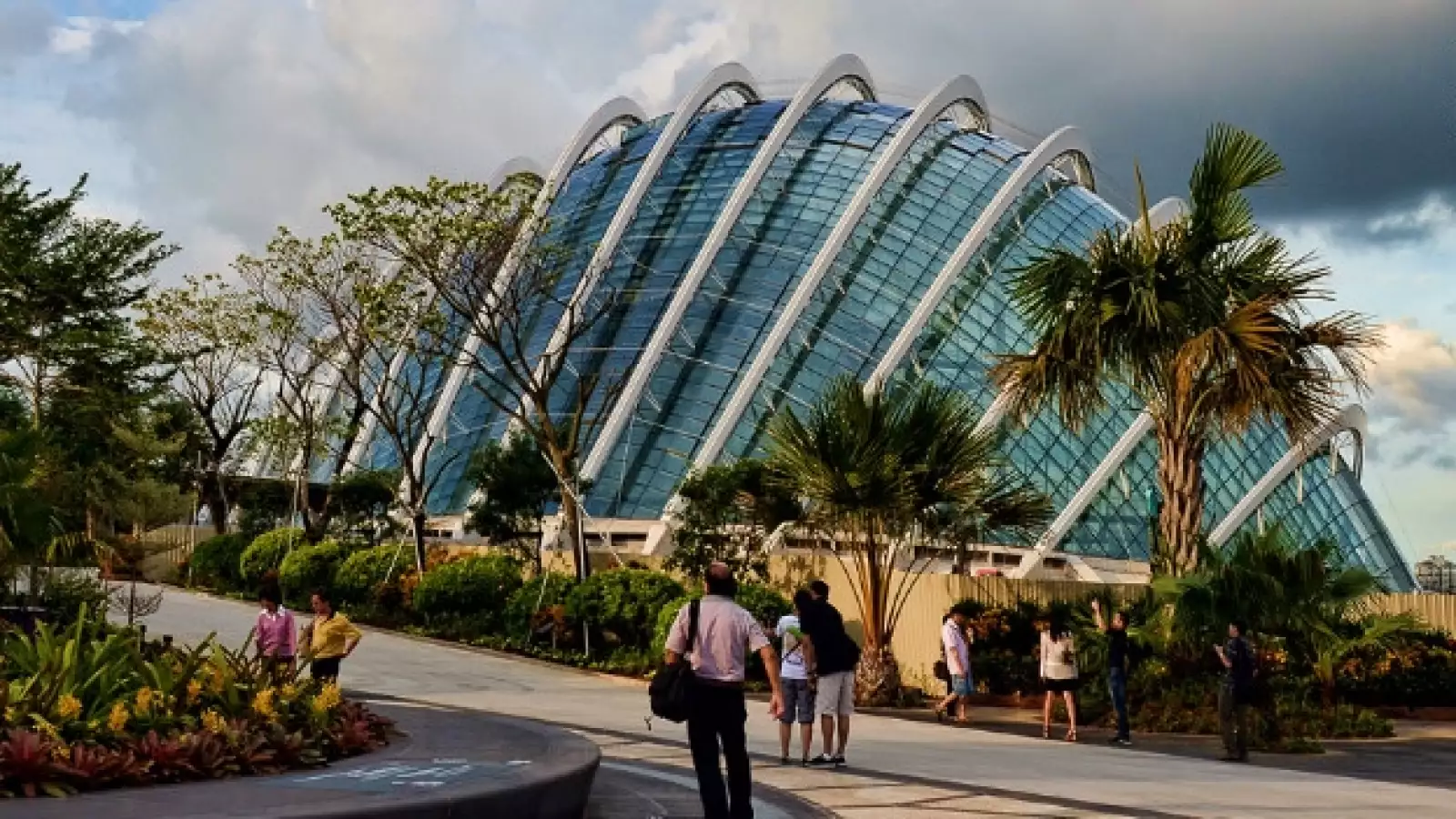 singapur super arboles 03