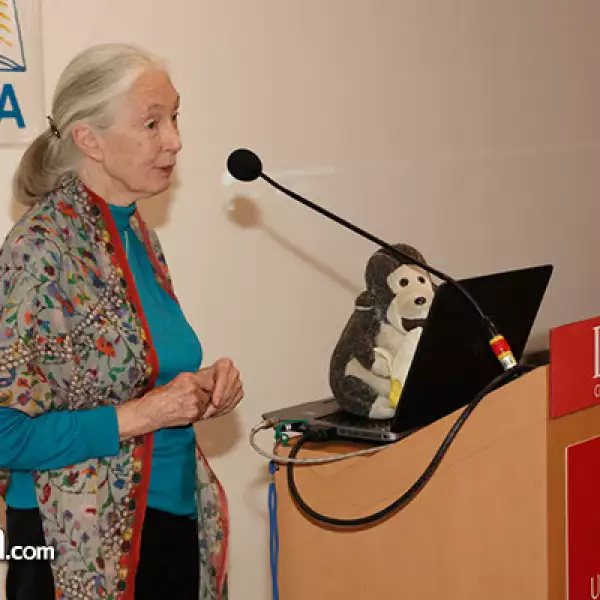 Jane Goodall