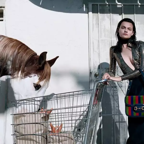 GUCCI-8