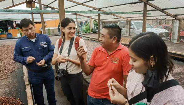 tierras-de-cacao