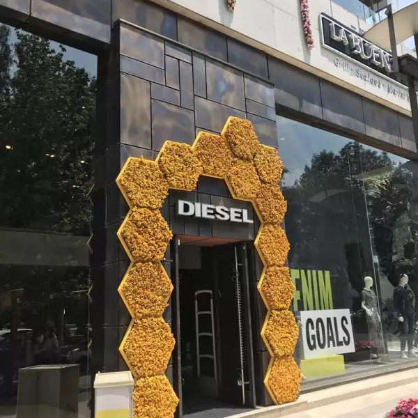 Diesel-Polanco-En-Flores