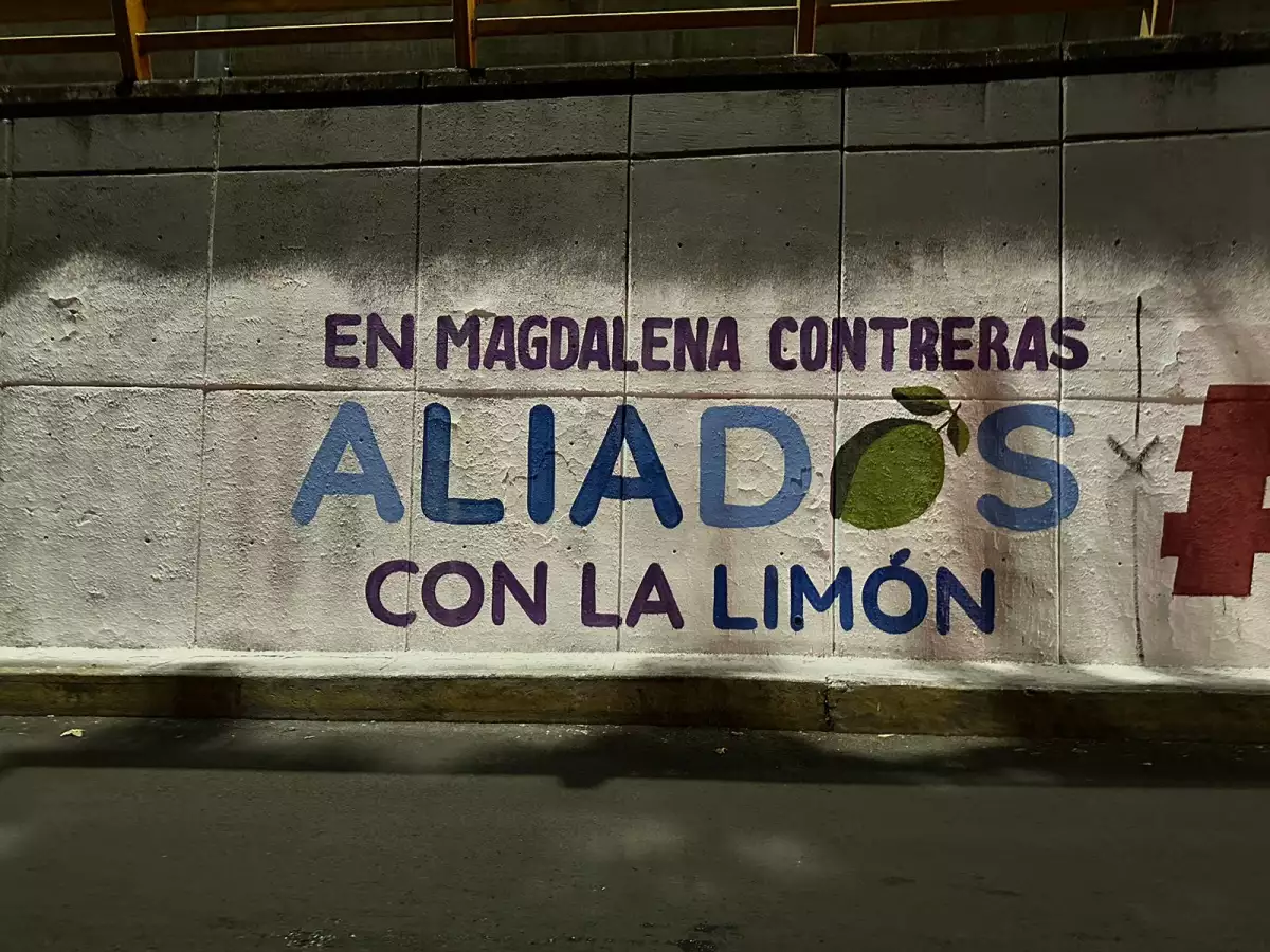 -Barda-Apoyo-Lia-Limon