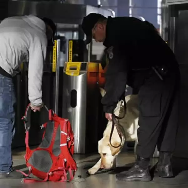 Boston día siguiente 11