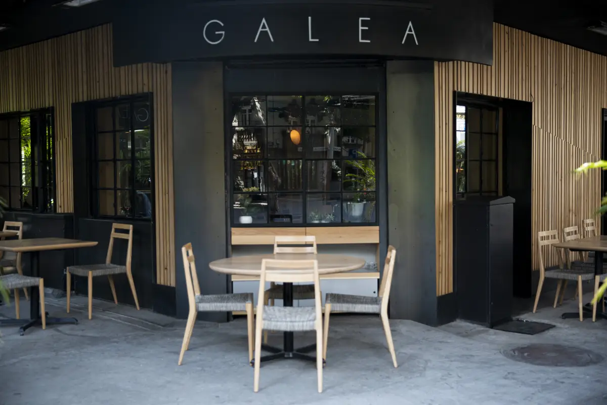 Galea
