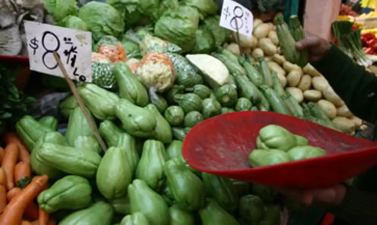 El precio de la calabacita bajó 15.50%. (Foto: Cuartoscuro )