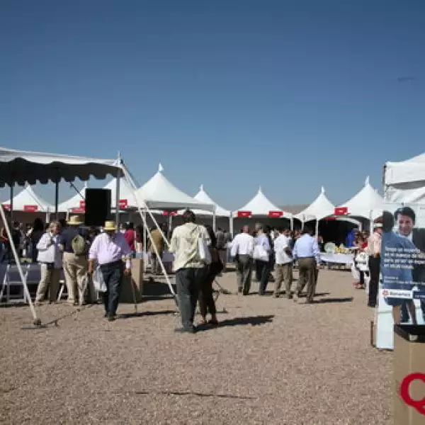 Aspectos  Festival de Sabor