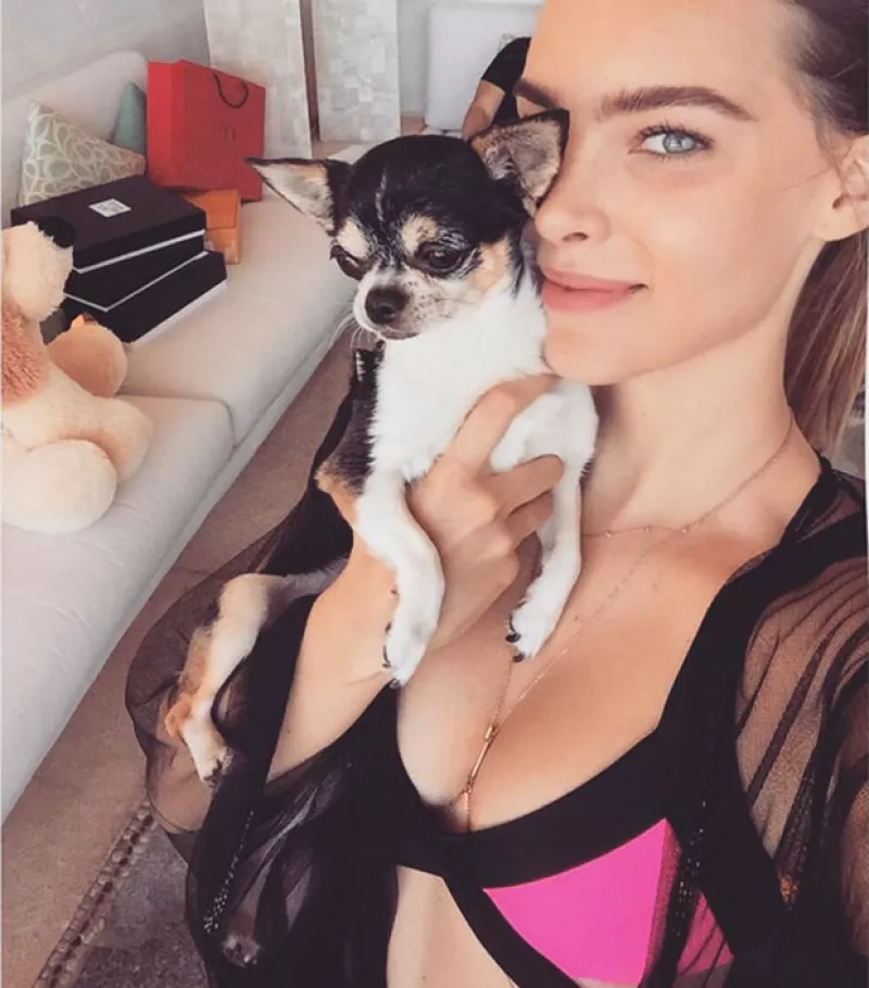 Fue el lunes cuando la cantante informó que Gizmo, su pequeño chihuahua, se encontraba muy grave, parece que aún sigue mal y quiso compartir con sus fans este momento tan difícil para ella.