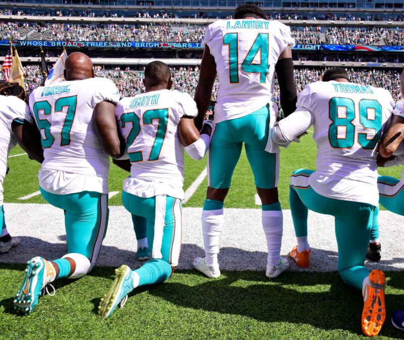 Dolphins protestas