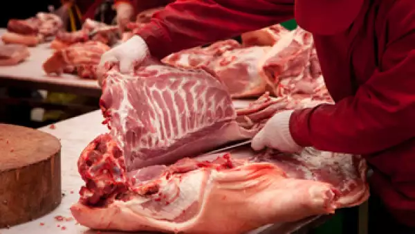 Los procesadores de carne y aves de corral han gastado más de 28 millones de dólares en cabildeo cada año desde 2008. (Foto: Getty Images)