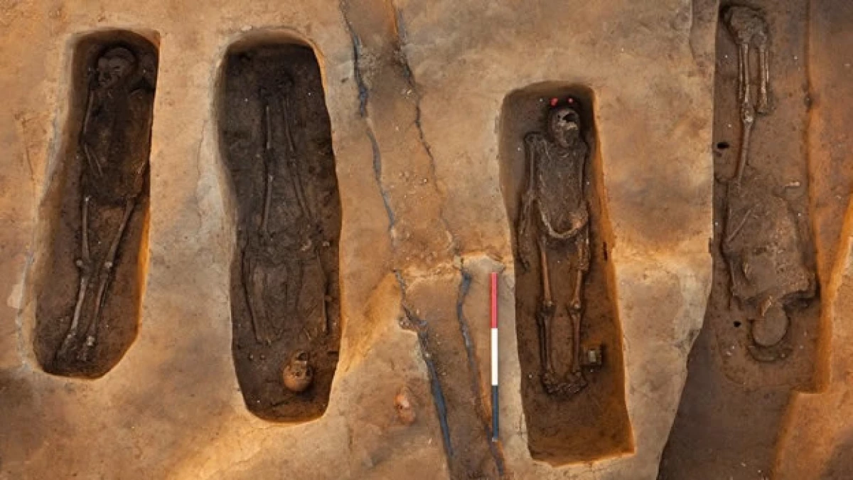 Los esquelos encontrados debajo de una iglesia en el asentamiento de Jamestown, Virginia