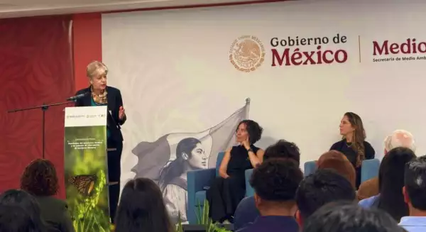 mariposa monarca.jpeg