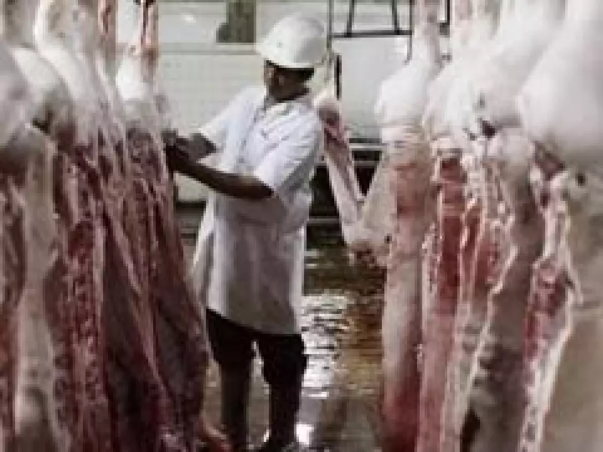 Países como China y Rusia han suspendido la compra de carne de cerdo proveniente de México y EU. (Archivo)