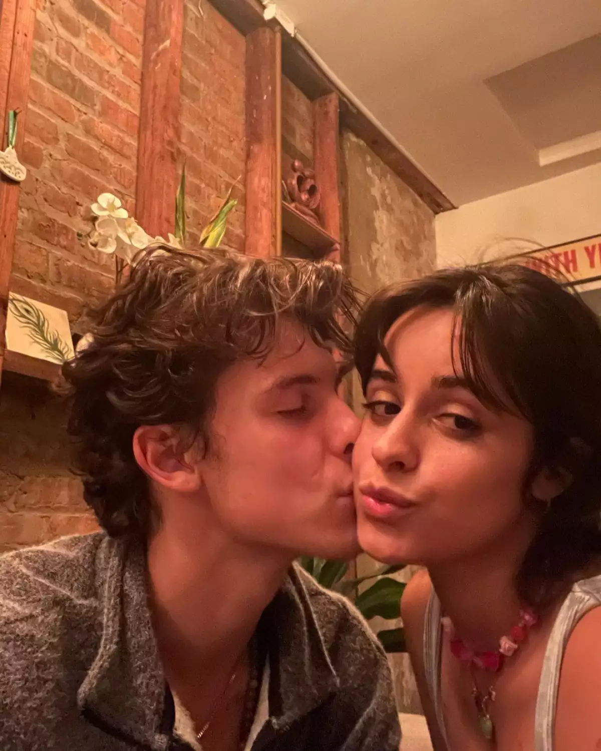 Shawn Mendes y Camila Cabello