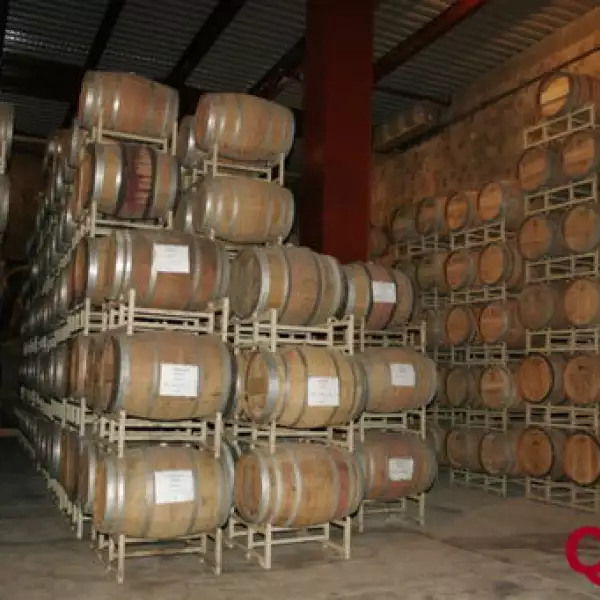 Barricas de Monte Xanic